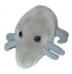 ACARO DEL POLVO (DERMATOPHAGOIDES PTERONYSSINUS) GIANTMICROBES ORIGINAL (PELUCHE 12-18 CMS)
