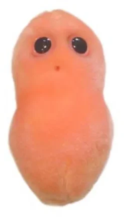 ACNE (PROPIONIBACTERIUM ACNES) GIANTMICROBES ORIGINAL (PELUCHE 12-18 CMS)