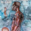 AMERICAN GODS VOL.2: AINSEL (2 DE 3) [CARTONE]
