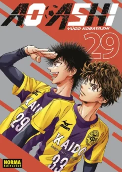 AO ASHI Nº29 [RUSTICA]