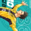 AO ASHI Nº36 [RUSTICA]