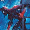 ASOMBROSO SPIDERMAN Nº238 / Nº29 [GRAPA]