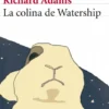 COLINA DE WATERSHIP, LA [RUSTICA]
