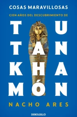 COSAS MARAVILLOSAS: CIEN AÑOS DEL DESCUBRIMIENTO DE TUTANKHAMON [RUSTICA]