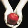 CREPUSCULO (SAGA CREPUSCULO 1) [RUSTICA]