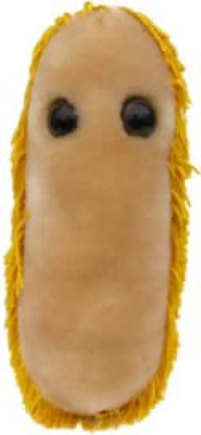 DOLOR DE ESTOMAGO (SHIGELLA) GIANTMICROBES ORIGINAL (PELUCHE 12-18 CMS)