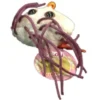E. COLI (ESCHERICHIA COLI) GIANTMICROBES LLAVERO (PELUCHE 5-8 CMS)