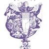 ENIGMA (EDICCION DEFINITIVA) [CARTONE]