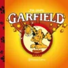 GARFIELD Nº16: 2008-2010 [CARTONE APAISADO]