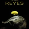 GRACIA DE LOS REYES, LA (DINASTIA DEL DIENTE DE LEON 1) (BOLSILLO) [CARTONE]