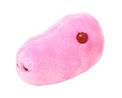 GRIPE PORCINA (INFLUENZA A VIRUS H1N1) GIANTMICROBES ORIGINAL (PELUCHE 12-18 CMS)
