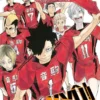 HAIKYÛ!! Nº34 [RUSTICA]