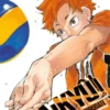 HAIKYÛ!! Nº33 [RUSTICA]