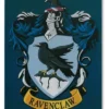 HARRY POTTER: PLACA DE CHAPA RAVENCLAW 15 X 21 CM