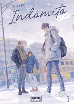 INDOMITO: SA YE Nº01 (EDICION ESPECIAL) [RUSTICA]