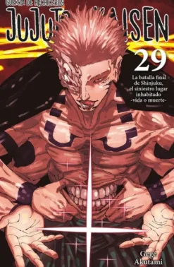 JUJUTSU KAISEN Nº29 (GUERRA DE HECHICEROS) [RUSTICA]