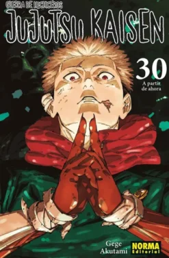 JUJUTSU KAISEN Nº30: ULTIMO TOMO (GUERRA DE HECHICEROS) [RUSTICA]