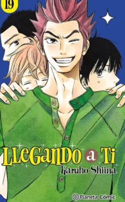 LLEGANDO A TI Nº19 [RUSTICA]