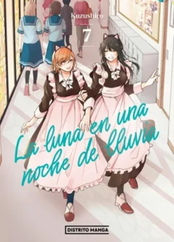 LUNA EN UNA NOCHE DE LLUVIA, LA Nº07 [RUSTICA]