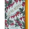 LUNA NUEVA (EDICION ESPECIAL LIMITADA «BELLA Y JACOB» POR EL 20º ANIVERSARIO) [CARTONE]