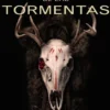 MURO DE LAS TORMENTAS, EL (DINASTIA DEL DIENTE DE LEON 2) [CARTONE]