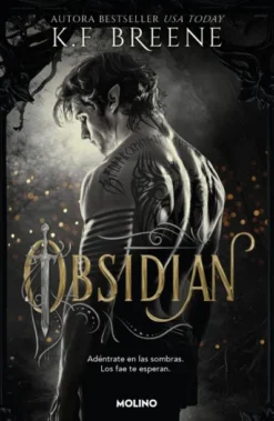 OBSIDIAN (LOS FAE DE LAS SOMBRAS 1) [RUSTICA]