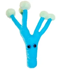 PENICILINA (PENICILLIUM CHRYSOGENUM) GIANTMICROBES ORIGINAL (PELUCHE 12-18 CMS)