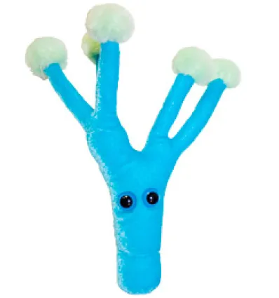 PENICILINA (PENICILLIUM CHRYSOGENUM) GIANTMICROBES ORIGINAL (PELUCHE 12-18 CMS)