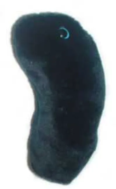 PESTE NEGRA (YERSINIA PESTIS) GIANTMICROBES ORIGINAL (PELUCHE 12-18 CMS)