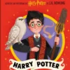 POCKET POTTERS: HARRY POTTER [CARTONE]