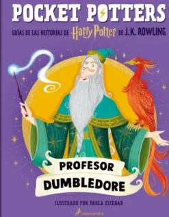 POCKET POTTERS: PROFESOR DUMBLEDORE [CARTONE]