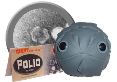 POLIO (POLIOVIRUS) GIANTMICROBES ORIGINAL (PELUCHE 12-18 CMS)