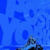 POST YORK [CARTONE]