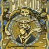 PRINCIPITO, EL (ILUSTRADO POR PEDRO OYARBIDE) [CARTONE]