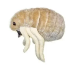 PULGA (CTENOCEPHALIDES FELIS) GIANTMICROBES ORIGINAL (PELUCHE 12-18 CMS)