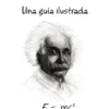 RELATIVIDAD: UNA GUIA ILUSTRADA [RUSTICA]