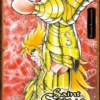 SAINT SEIYA FINAL EDITION Nº08 [RUSTICA]