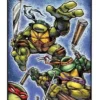 TEENAGE MUTANT NINJA TURTLES: ESPECIAL 40 ANIVERSARIO [RUSTICA]