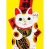 TOALLA JAPON MANEKI NEKO 50 X 100 CM