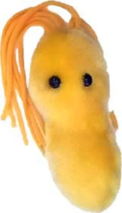 ULCERA (HELICOBACTER PYLORI) GIANTMICROBES ORIGINAL (PELUCHE 12-18 CMS)