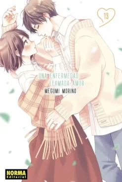 UNA ENFERMEDAD LLAMADA AMOR Nº13 [RUSTICA]